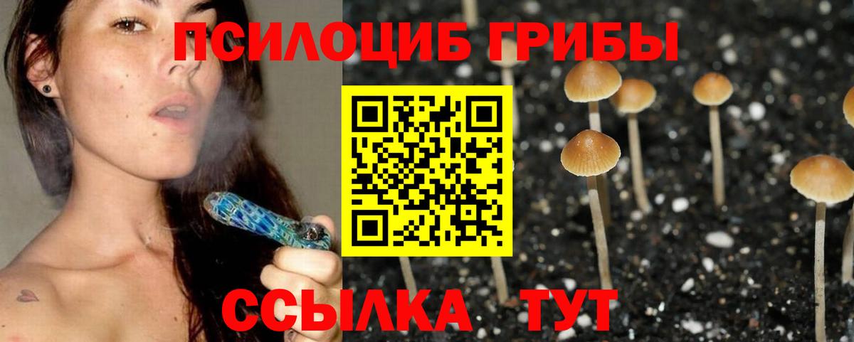 Галлюциногенные грибы Cubensis  Галлюциногенные грибы прущие грибы  Котовск  Вход с VPN 