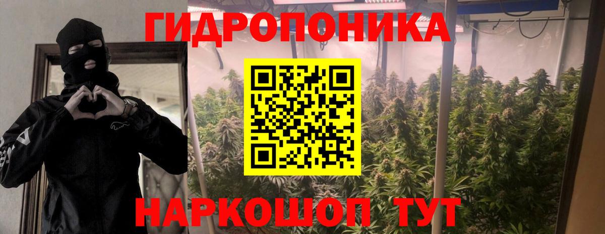 Котовск  Конопля LSD WEED  Каннабис SATIVA & INDICA  Вход с VPN 